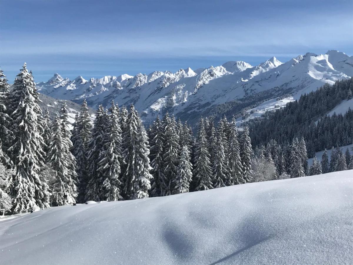 Appartement Lapreski, Spacieux, Proche Lac D'Annecy, Randonnees Montagne Тон Экстерьер фото