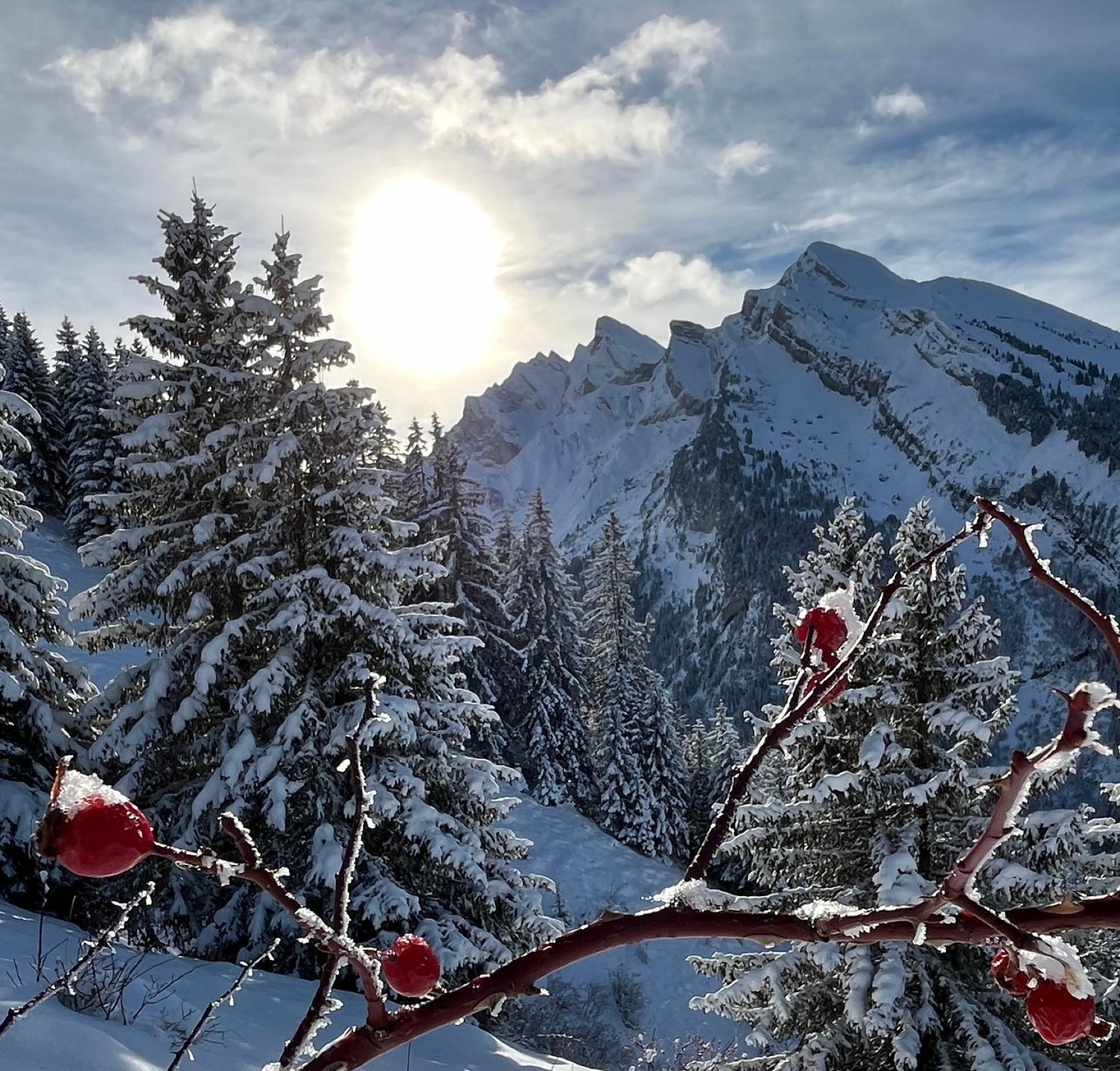 Appartement Lapreski, Spacieux, Proche Lac D'Annecy, Randonnees Montagne Тон Экстерьер фото