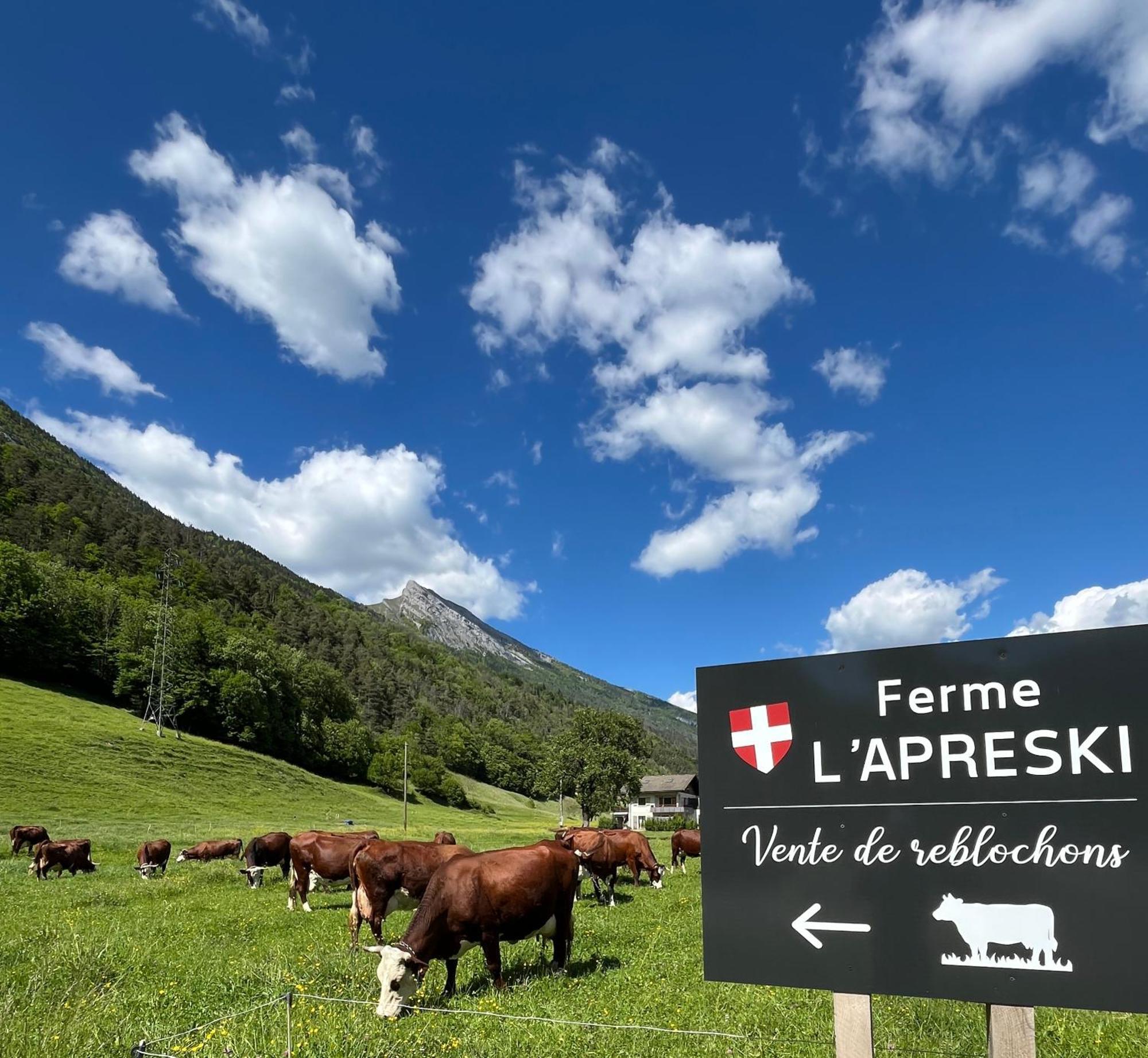 Appartement Lapreski, Spacieux, Proche Lac D'Annecy, Randonnees Montagne Тон Экстерьер фото